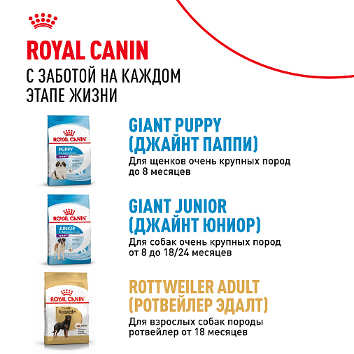 Royal Canin Giant Adult Корм сухой для взрослых собак очень крупных размеров от 18 месяцев