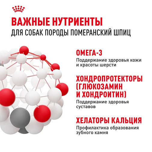 Royal Canin Pomeranian Adult Корм сухой для взрослых собак породы Померанский Шпиц