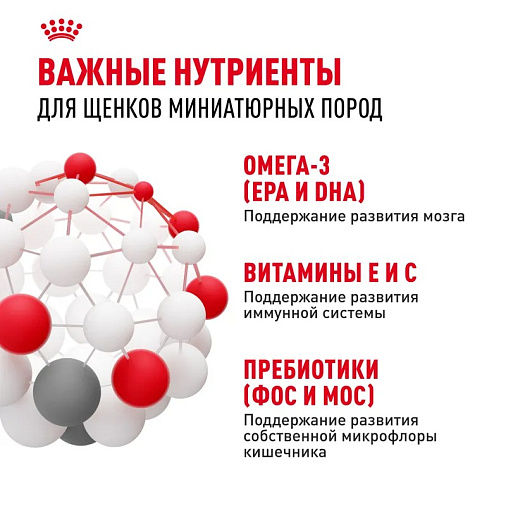 Royal Canin X-Small Puppy Корм сухой для щенков очень мелких размеров до 10 месяцев