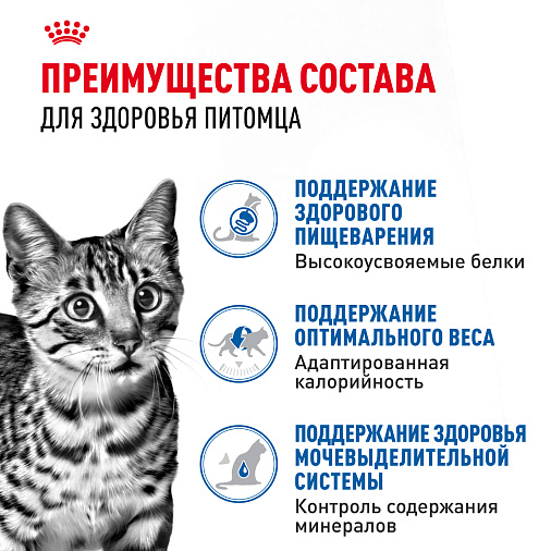 Royal Canin INDOOR STERILISED Корм консервированный полнорационный для взрослых кастрированных и стерилизованных кошек, живущих в помещении (кусочки в соусе)