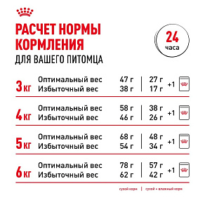 Royal Canin Indoor Appetite Control Корм сухой сбалансированный для взрослых кошек, живущих в помещении