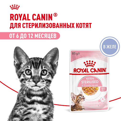 Royal Canin Корм для котят в возрасте до 12 месяцев (Kitten Sterilised), в желе