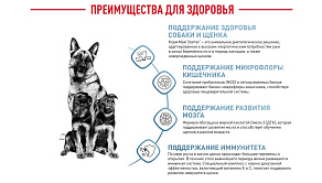 Royal Canin Maxi Starter Корм сухой для щенков крупных размеров до 2-х месяцев, беременных и кормящих сук