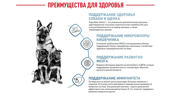 Royal Canin Maxi Starter Корм сухой для щенков крупных размеров до 2-х месяцев, беременных и кормящих сук