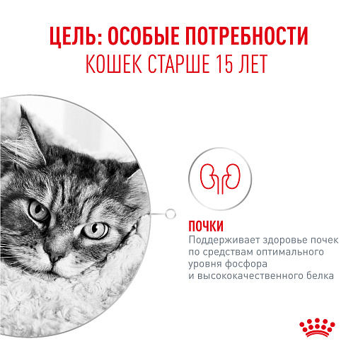 Royal Canin Ageing 15+ AirLift™ Корм консервированный полнорационный для кошек старше 15 лет (мусс AirLift™)