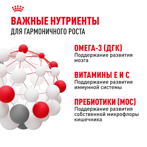 Royal Canin Корм для щенков мелких пород (Mini Puppy), кусочки в соусе
