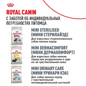 Royal Canin Miniature Schnauzer Adult Корм сухой для взрослых собак породы Миниатюрный Шнауцер от 10 месяцев
