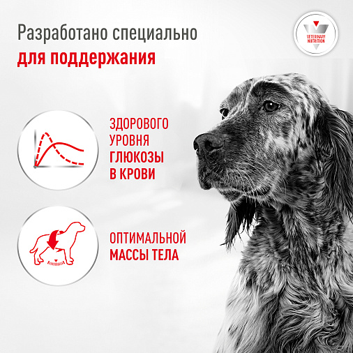 Royal Canin Glycobalance Корм сухой полнорационный диетический для взрослых собак при диабете