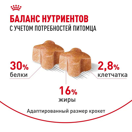 Royal Canin German Shepherd Puppy Корм сухой для щенков породы Немецкая овчарка до 15 месяцев