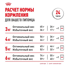 Royal Canin Indoor 27 Корм сухой сбалансированный для взрослых кошек, живущих в помещении