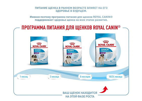 Royal Canin Giant Junior Корм сухой  для щенков очень крупных пород  в возрасте от 8 до 18/24 месяцев