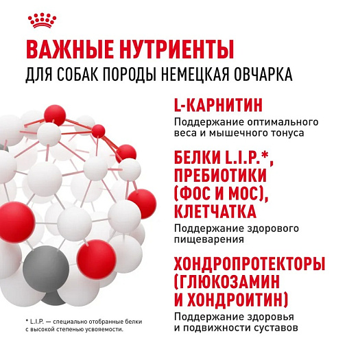 Royal Canin German Shepherd Adult Корм сухой для взрослых собак породы Немецкая Овчарка от 15 месяцев