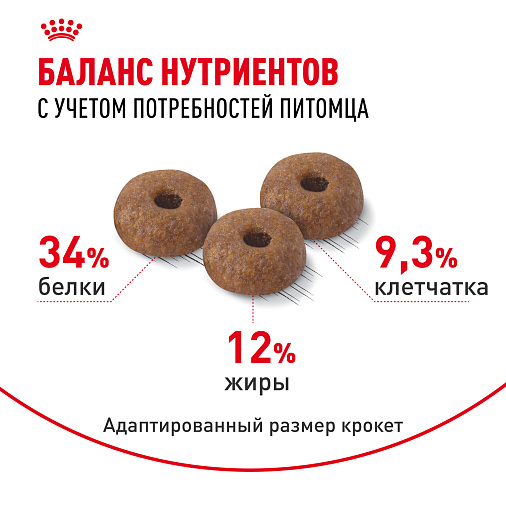 Royal Canin Appetite Control Care Корм сухой для взрослых кошек — для контроля выпрашивания корма