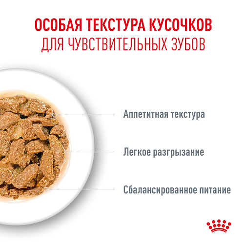 Royal Canin Ageing 11+ Корм влажный для пожилых кошек старше 11 лет, кусочки в соусе