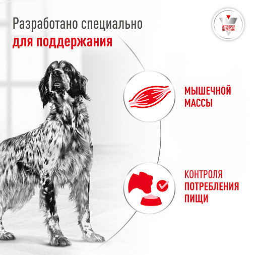 Royal Canin Glycobalance Корм консервированный полнорационный диетический для взрослых собак при диабете (паштет)