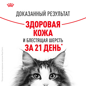 Royal Canin Hair&Skin Care Корм консервированный полнорационный для взрослых кошек для поддержания здоровья кожи и красоты шерсти, тонкие ломтики в соусе