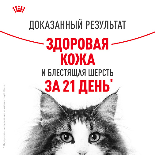 Royal Canin Hair&Skin Care Корм консервированный полнорационный для взрослых кошек для поддержания здоровья кожи и красоты шерсти, тонкие ломтики в желе
