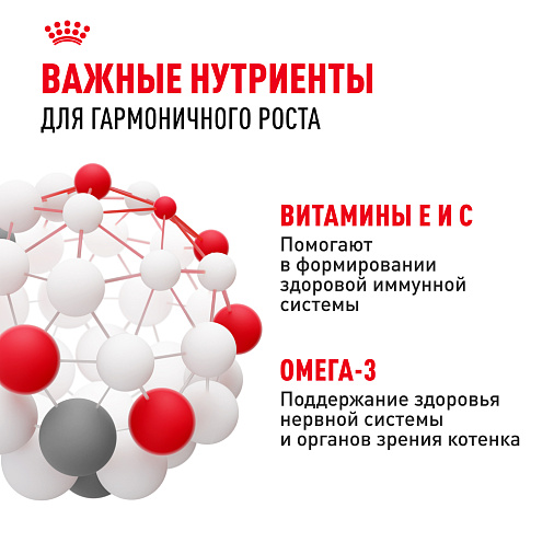 Royal Canin Kitten Gravy Корм консервированный полнорационный для кошек - Специально для котят в период второй фазы роста в возрасте до 12 месяцев, кусочки в соусе