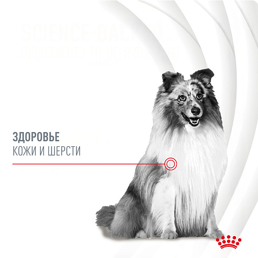 Royal Canin Skin&Coat Chews лакомство взрослых собак, дополнительное питание для поддержания здоровья кожи и шерсти