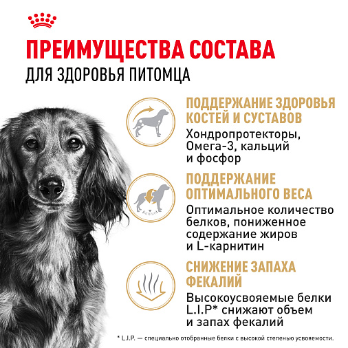 Royal Canin Dachshund Adult Корм сухой для взрослых собак породы Такса от 10 месяцев