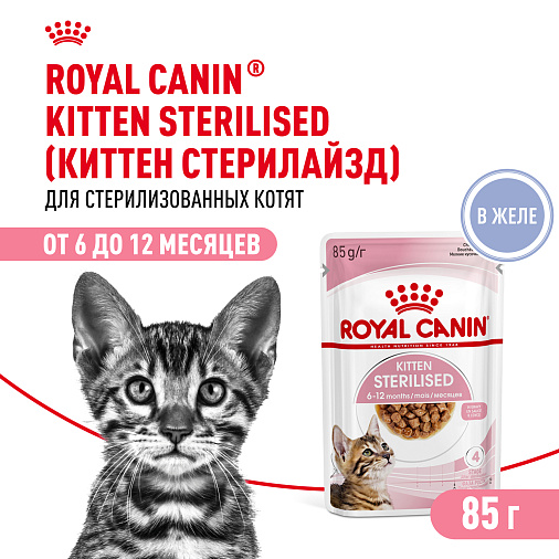 Royal Canin KITTEN STERILISED Корм консервированный полнорационный для кошек - Специально для кастрированных и стерилизованных котят (в возрасте от 6 до 12 месяцев), мелкие кусочки в желе