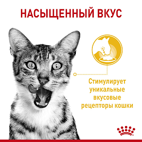 Royal Canin Sensory вкус (в соусе) Корм консервированный полнорационный для взрослых кошек (в возрасте от 1 года до 7 лет), стимулирующий вкусовые рецепторы