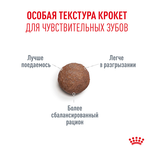 Royal Canin Ageing 11+ Корм сухой для пожилых кошек старше 11 лет