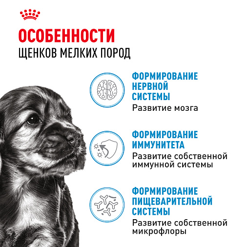 Royal Canin Корм для щенков мелких пород (Mini Puppy), кусочки в соусе