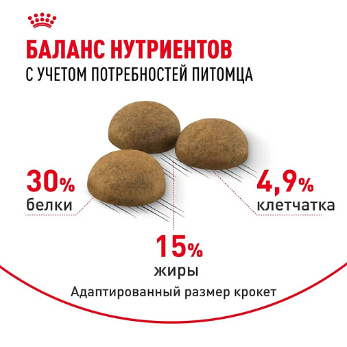 Royal Canin Indoor Long Hair Корм сухой сбалансированный для взрослых длинношерстных кошек, живущих в помещении