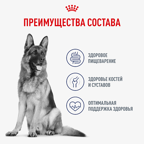 Royal Canin Maxi Adult Влажный корм для взрослых собак крупных размеров от 15 месяцев