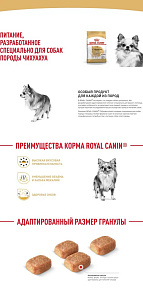 Royal Canin Chihuahua Adult Корм сухой для взрослых собак породы Чихуахуа от 8 месяцев