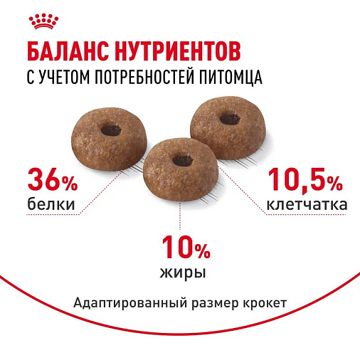 Royal Canin Light Weight Care Корм сухой для взрослых кошек для профилактики лишнего веса