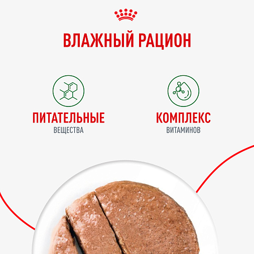 Royal Canin Mini Adult Влажный корм для взрослых собак мелких размеров от 10 месяцев