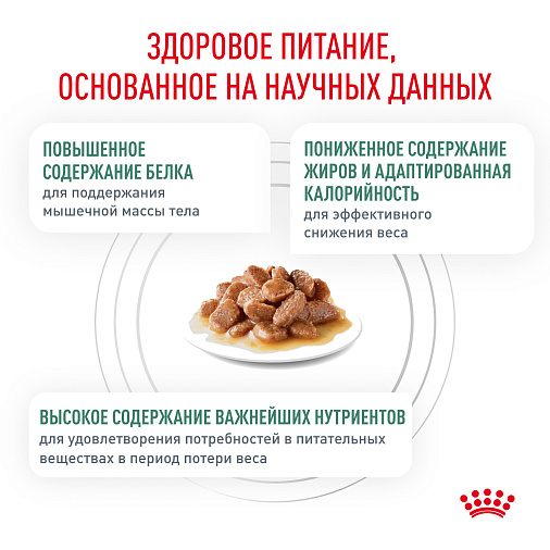 Royal Canin SATIETY WEIGHT MANAGEMENT (СЭТАЙЕТИ ВЕЙТ МЕНЕДЖМЕНТ) Корм влажный диетический для взрослых кошек, рекомендуемый для снижения веса