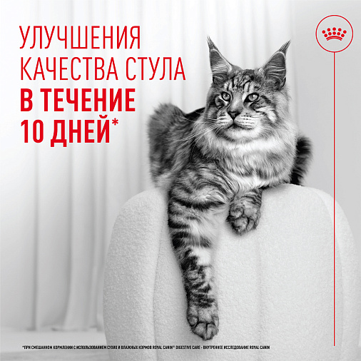 Royal Canin Digestive Care AirLift™ Корм консервированный полнорационный для взрослых кошек (мусс AirLift™)