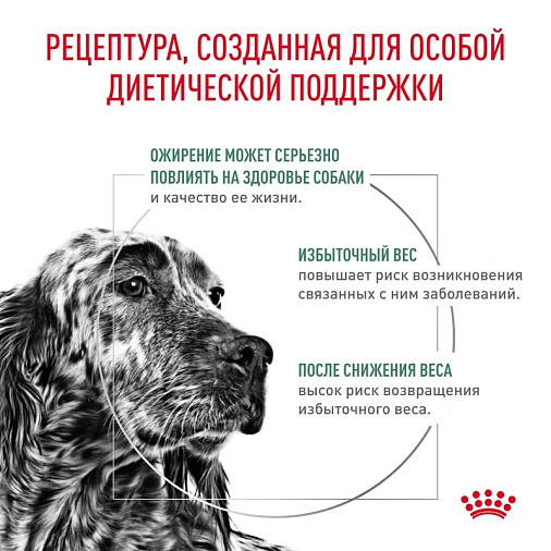 Royal Canin SATIETY WEIGHT MANAGEMENT (СЭТАЙЕТИ ВЕЙТ МЕНЕДЖМЕНТ) Корм сухой для взрослых собак для снижения веса