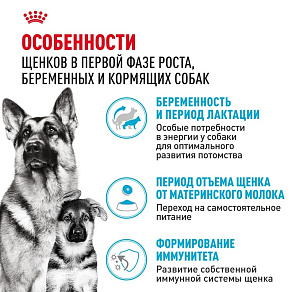Royal Canin Maxi Starter Корм сухой для щенков крупных размеров до 2-х месяцев, беременных и кормящих сук