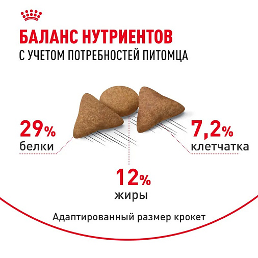 Royal Canin Indoor Appetite Control Корм сухой сбалансированный для взрослых кошек, живущих в помещении