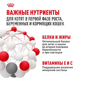 Royal Canin Mother&Babycat Корм сухой для котят в период первой фазы роста и отъема, беременных и кормящих кошек