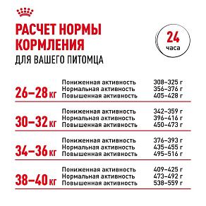 Royal Canin Labrador Retriever Adult Корм сухой для взрослых собак породы Лабрадор Ретривер от 15 месяцев