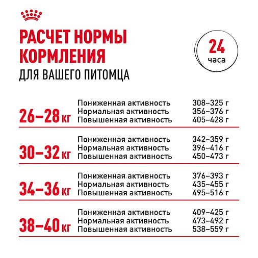 Royal Canin Labrador Retriever Adult Корм сухой для взрослых собак породы Лабрадор Ретривер от 15 месяцев