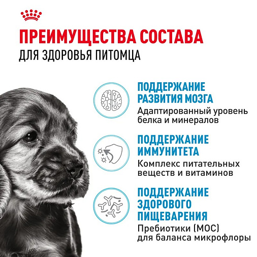 Royal Canin Mini Puppy Корм сухой для щенков мелких пород в возрасте до 10 месяцев