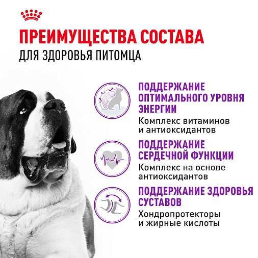 Royal Canin Giant Adult Корм сухой для взрослых собак очень крупных размеров от 18 месяцев