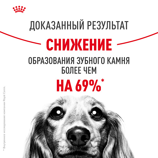 Royal Canin Mini Dental Care Корм сухой для собак мелких размеров, предрасположенных к образованию зубного камня