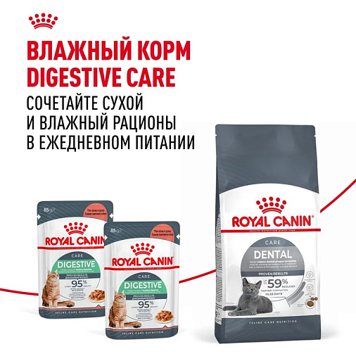 Royal Canin Dental Care Корм сухой полнорационный сбалансированный для взрослых кошек