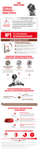Royal Canin GASTROINTESTINAL LOW FAT (ГАСТРОИНТЕСТИНАЛ ЛОУ ФЭТ) Корм сухой для взрослых собак при нарушениях пищеварения
