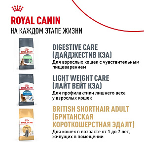 Royal Canin British Shorthair Kitten Корм сухой сбалансированный для британских короткошерстных котят