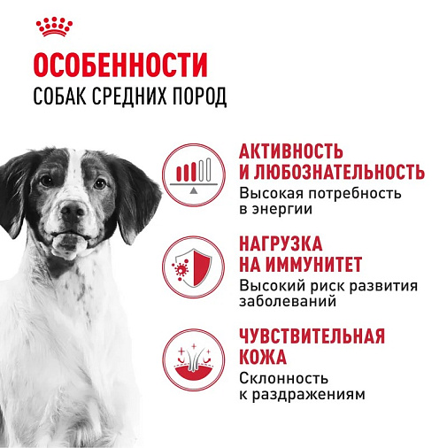 Royal Canin Medium Adult Корм сухой для взрослых собак средних размеров от 12 месяцев до 7 лет
