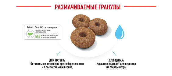 Royal Canin Giant Starter Корм сухой для щенков очень крупных размеров до 2 месяцев, беременных и кормящих сук