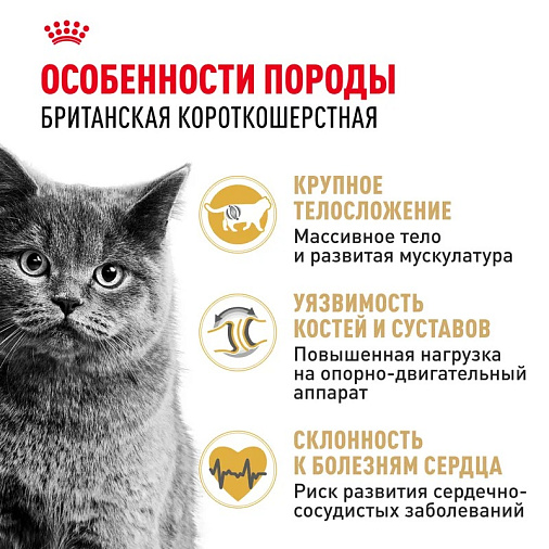 Royal Canin British Shorthair Adult Корм сухой сбалансированный для взрослых британских короткошерстных кошек